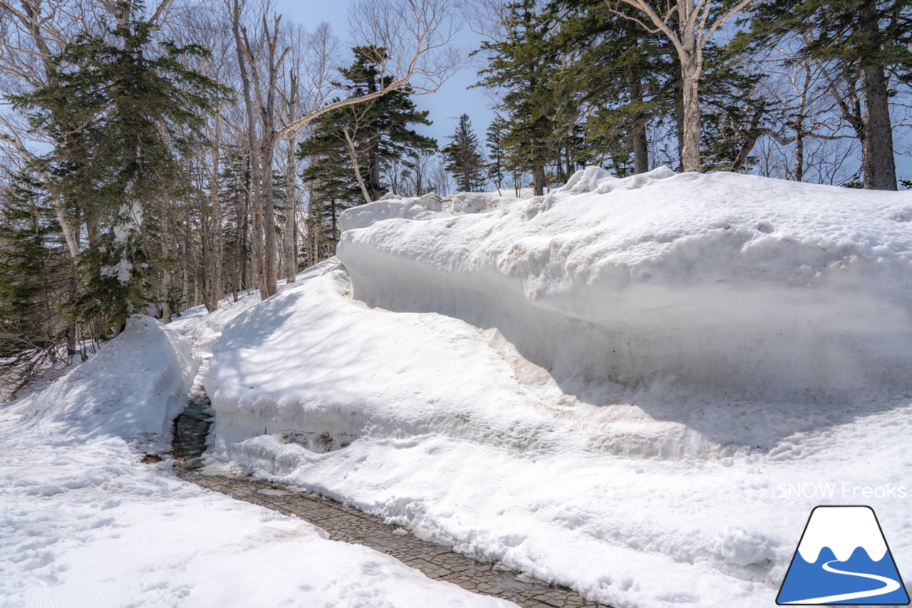 大雪山層雲峡・黒岳ロープウェイスキー場｜2021-2022シーズン終了間近…。積雪280cm＆5月8日までスキーリフト営業の黒岳で、春スキー＆スノーボードを満喫しましょう！